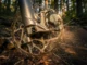 hamulce mtb 4 tłoczkowe